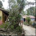 Proyecto mejora del hábitat para combatir el mal de Chagas en el Salvador