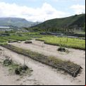 Vivero de Chungchilán