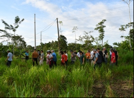 Manos Unidas ONG - Estrategia para la Panamazonía