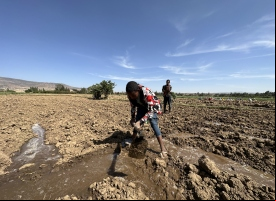 Un grupo de chicos labra la tierra en la localidad de Wukro (Tigray). Foto: Manos Unidas/Marta Carreño