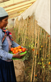 Día Mundial de la Alimentación (16 de octubre)