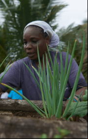 El hambre - ¿Producción insuficiente de alimentos? (Foto: Marco Polo | Ecuador)