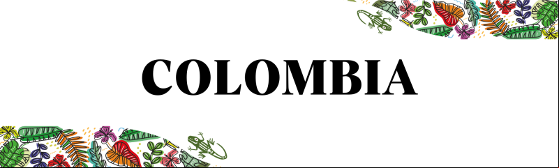 Manos Unidas ONG - Encuentro Panamazónico Ecuador 2023 - Colombia