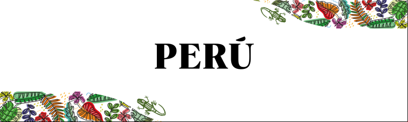 Manos Unidas ONG - Encuentro Panamazónico Ecuador 2023 - Perú