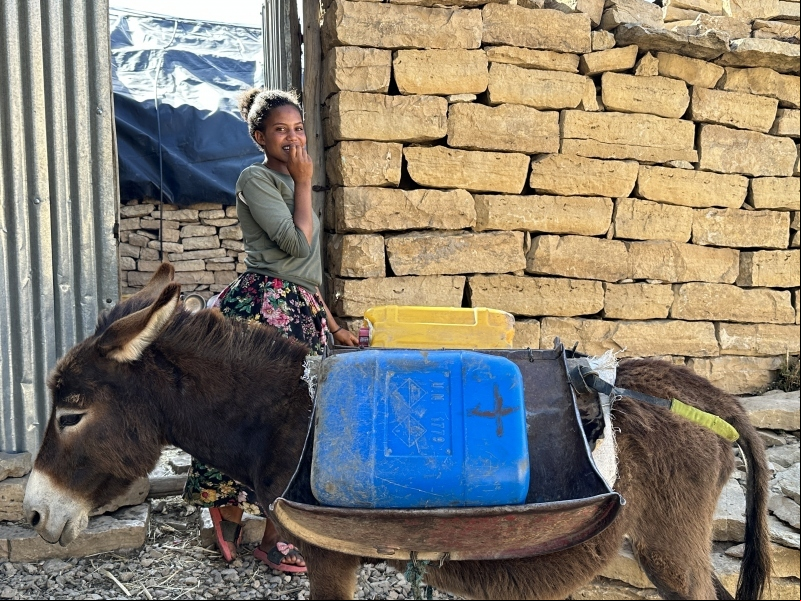 Manos Unidas ONG - Volver a sembrar en el Tigray - Imagen: Marta Carreño