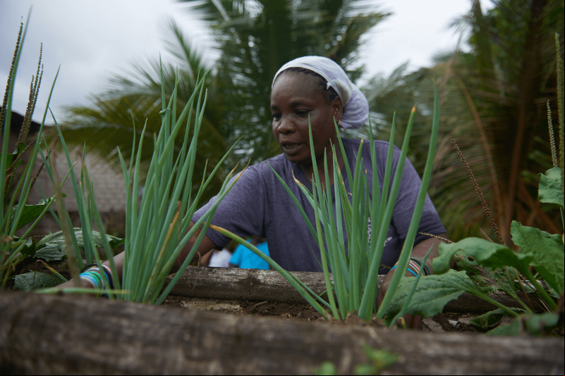 El hambre - ¿Producción insuficiente de alimentos? (Foto: Marco Polo | Ecuador)