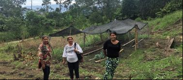 Seguridad alimentaria para defensa y permanencia de los campesinos en sus territorios. Foto: Manos Unidas