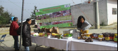 Proyecto agroecológico Tlaxcala Mexico