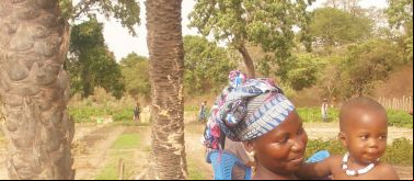 Mejora de la producción hortícola y de la nutrición familiar en las comunidades rurales de Ziguinchor 