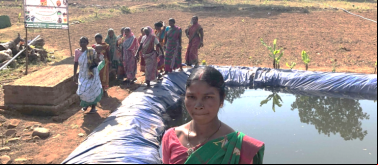 Fortalecimiento de comunidad tribal y desarrollo agrícola sostenible en 10 aldeas. India
