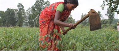Mejora de la situación socio-económica de las mujeres sin casta del distrito de Ballía, India
