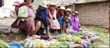 Fortalecimiento de la base productiva y gestión de las organizaciones social. Boliviaes