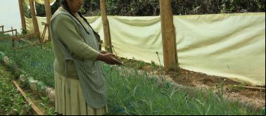 Mujer agrícola de Bolivia