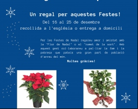 Campaña "La Flor de Nadal"