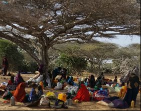 Emergencia en el sur de Somalia