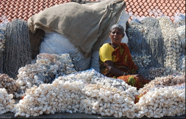 Anciana junto a redes con conchas en Kanyakumari en el estado de Tamil Nadu, en India. Foto: Manos Unidas/Campaña