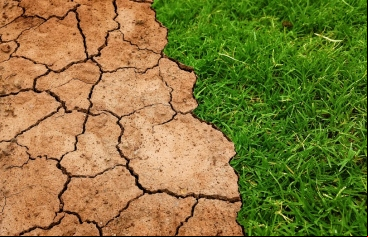 Cumbre sobre el Clima de las Naciones Unidas