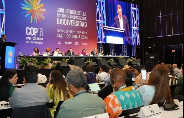 Conferencia de las Naciones Unidas sobre Biodiversidad. Fotografía: UN Biodiversity | COP16