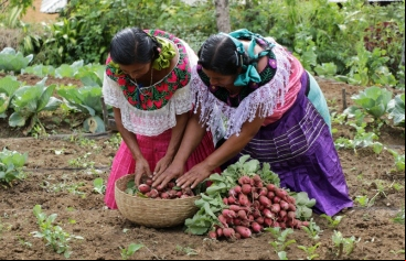 Un mayor  a los recursos productivos por parte de las mujeres. Fotografía: Javier Mármol | Manos Unidas
