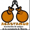 Acastamur