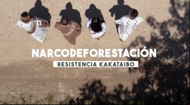 Manos Unidas ONG - El narcotráfico y la deforestación ponen en jaque a los Kakataibo