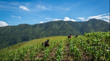 Día Mundial del Medio Ambiente. Guatemala. Foto: AFOPADI
