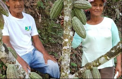 Ana y Lorenzo - Cultivo de cacao - Foto Fundación Maquita, Ecuador