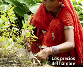 Revista Manos Unidas 203
