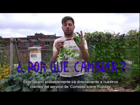 Historias de Cambio 7-#STORIESOFCHANGE 7-Santropol Roulant